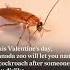 Valentines Day In Canada Shorts Meme Short