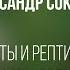 Мегалиты и Рептилоиды Александр Соколов