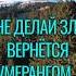 Омар Хайям Цитаты Мудрые Слова Не делай зла вернётся бумерангом цитаты мудрость шортс