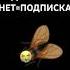 Kaban подпишись аркана майнкрафт кабан пжрек муха стендофф2 выбери Karting