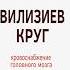 Кратко Вилизиев круг неврология вилизиевкруг кровообращение анатомиячеловека