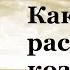 Как распознать козни врага Валерий Духанин Знакомство с Православием Часть 64