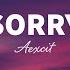 Aexcit Sorry Lyrics