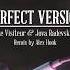 Le Visiteur Jova Radevska Perfect Version Alex Hook Remix