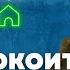 Успокоить собаку Как научить собаку успокаиваться и отдыхать Отучить щенка бегать и суетиться