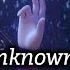 Frozen 2 Into The Unknown In 3 Languages Willemijn Verkaik