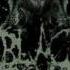 A Black Rose Burial Self Struggle Depends On How Much Of Yourself You Loath