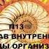 П13 СОСТАВ ВНУТРЕННЕЙ СРЕДЫ ОРГАНИЗМА И ЕЕ ФУНКЦИИ БИОЛОГИЯ 8 КЛАСС АУДИОУЧЕБНИК СЛУШАТЬ АУДИО