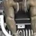 Flex Magazine Bodybuilding Video Series Vol 2 Awesome Arm Workout