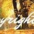 AERØHEAD Path Of The Fireflies No Copyright Music