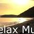 Swans In Flight Asher Fulero Relax Music 464
