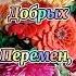 Поздравление с днем рождения сднемрождения музыкальноепожелание поздравление