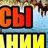УЖАСЫ ТАНЗАНИИ Царство Первобытного Страха африка лев