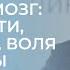 Вячеслав Дубынин Лекция про Мозг