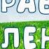 Стихотворение Травка зеленеет солнышко блестит А Н Плещеев Поэтическая тетрадь