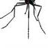 EFEK SUARA NYAMUK MENGGANGGU ANNOYING MOSQUITO SOUND EFFECT