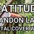 Brandon Lake Gratitude Instrumental Cover With Lyrics