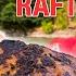 48 Hours RAFT CAMPING In The WILDERNESS Blackened Steelhead Catch Cook