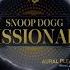 Snoop Dogg Dr Dre Midnight Hustle Feat 50 Cent Eminem Missionary