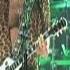 Paul Stanley Live To Win