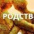 10 ПРИЗНАКОВ РОДСТВЕННОЙ ДУШИ КАК ПОНЯТЬ ЧТО РЯДОМ С ВАМИ РОДНАЯ ДУША