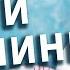 Лучшие щетки для волос 2021 Какая расческа Щетка или Брашинг Какой расческой расчесывать волосы