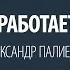 Почему не работает интуиция Александр Палиенко