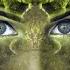 Melodic House Trip 1st Edition A House Mix Progressive House Techno