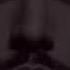 Introducing Evan De Novellis SRNDR Records