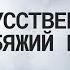 Всё о наполнителе искусственный лебяжий пух