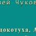 Айболит