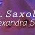 Mr Saxobeat Slowed Reverb Alexandra Stan