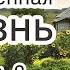 Повесть Подаренная жизнь Часть 2 Светлана Тимохина МСЦ ЕХБ Новинка 2019