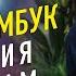 Базовая медитация Пустой бамбук Теория и практика с Валентином Ворониным