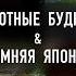 Уютные зимние дни в Японии Блошиный рынок Лунный Новый Год и Поездка в Нагасаки