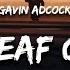 Gavin Adcock Four Leaf Clover Lyrics