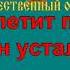 ЖУРАВЛИ караоке слова песня ПЕСНИ ВОЙНЫ ПЕСНИ ПОБЕДЫ минусовка