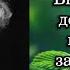 Марк Твен Никогда не спорьте с идиотами Вы опуститесь до их уровня где они вас задавят своим