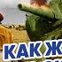 Холодная война Суэцкий кризис