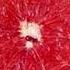 Julia Engelmann Grapefruit Speea Remix Preview