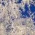 МОРОЗ НА СТЕКЛЕ Музыка Сергея Чекалина Frost On The Glass Sergey Chekalin