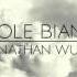 Nuvole Bianche Ludovico Einaudi Piano Orchestral Version Ft Nathan Wu