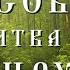 Кто достигнет такой молитвы тот обретет великое благо Схимонах Иосиф Ватопедский