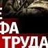 В Украине катастрофа на рынке труда из за мобилизации Алексей Арестович Канал Центр