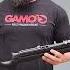 Gamo Outdoors Top Iguana Hunting Air Rifles 2022