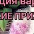 Вязание СП ЖЕНСКИЕ ПРИХОТИ 2022 Экспресс МК ВАРЕЖКИ МАРТА Готовая работа Отчёт 3