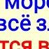 Ваши враги будут в ужасе Положите соль в морозилку и всё зло сглаз и порча вернётся им обратно