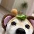 Cupid Is That Freddy Fazbear Ur Ur Ur Ur Ur Fnaf Shibainu Memes