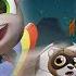 Football Tom Gold Run Catch Raccoon Robber Talking Tom Gold Run