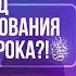 Мавлид день празднования смерти Пророка ﷺ Шейх Мухаммад аль Хасан ад Дадау